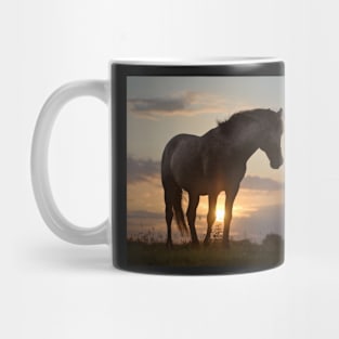 Sunset Delight Mug